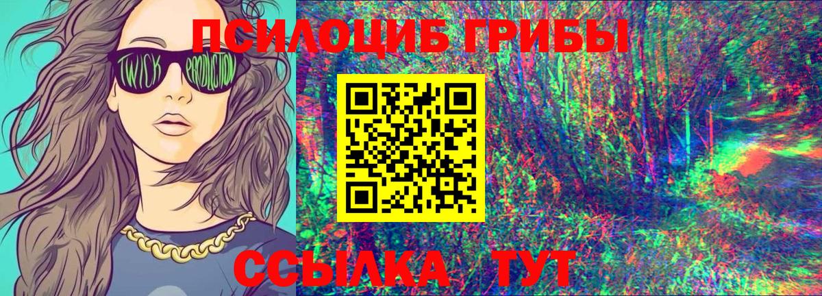 купить наркоту  Псилоцибиновые грибы Psilocybine cubensis  Вход с VPN  Усолье-Сибирское 